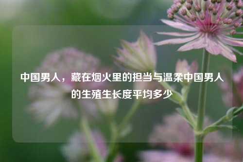 中国男人，藏在烟火里的担当与温柔中国男人的生殖生长度平均多少