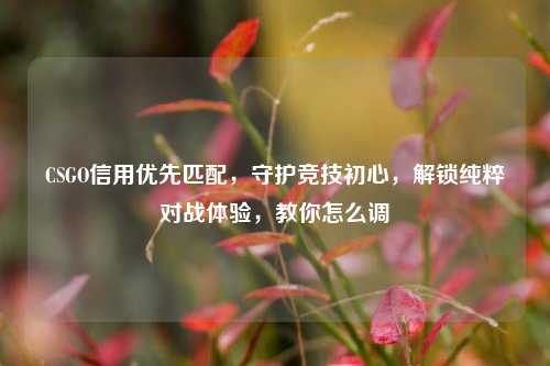 CSGO信用优先匹配，守护竞技初心，解锁纯粹对战体验，教你怎么调