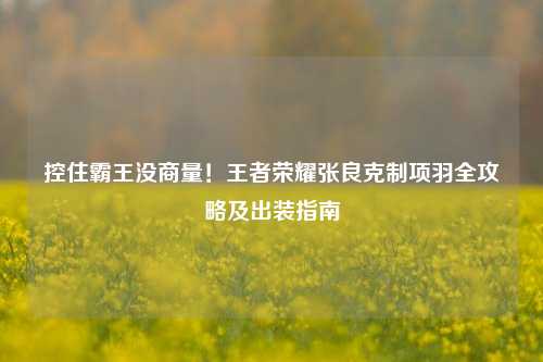 控住霸王没商量！王者荣耀张良克制项羽全攻略及出装指南