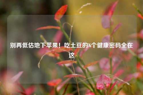 别再低估地下苹果！吃土豆的N个健康密码全在这