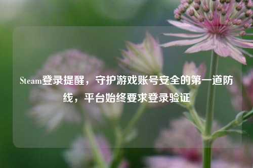 Steam登录提醒，守护游戏账号安全的第一道防线，平台始终要求登录验证