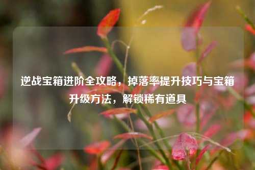 逆战宝箱进阶全攻略，掉落率提升技巧与宝箱升级方法，解锁稀有道具