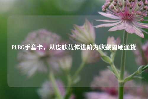 PUBG手套卡，从皮肤载体进阶为收藏圈硬通货