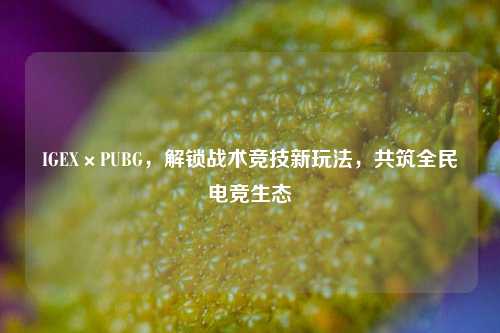 IGEX×PUBG，解锁战术竞技新玩法，共筑全民电竞生态