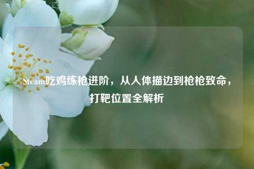 Steam吃鸡练枪进阶，从人体描边到枪枪致命，打靶位置全解析