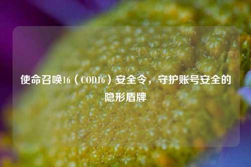 使命召唤16（COD16）安全令，守护账号安全的隐形盾牌