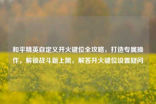和平精英自定义开火键位全攻略，打造专属操作，解锁战斗新上限，解答开火键位设置疑问