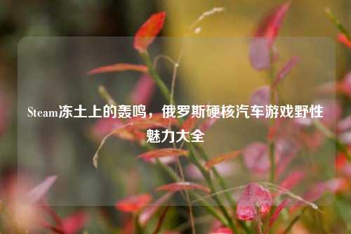 Steam冻土上的轰鸣，俄罗斯硬核汽车游戏野性魅力大全