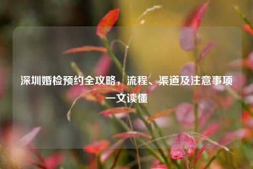深圳婚检预约全攻略，流程、渠道及注意事项一文读懂