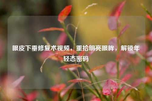 眼皮下垂修复术视频，重拾明亮眼眸，解锁年轻态密码