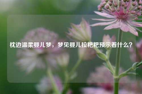 枕边温柔婴儿梦，梦见婴儿拉粑粑预示着什么？