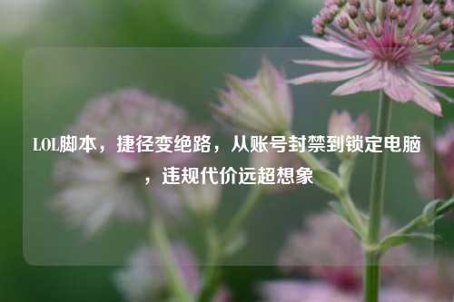 LOL脚本，捷径变绝路，从账号封禁到锁定电脑，违规代价远超想象