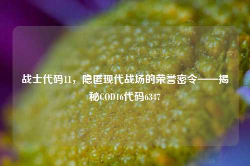战士代码11，隐匿现代战场的荣誉密令——揭秘COD16代码6347