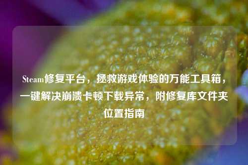 Steam修复平台，拯救游戏体验的万能工具箱，一键解决崩溃卡顿下载异常，附修复库文件夹位置指南