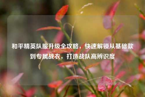 和平精英队服升级全攻略，快速解锁从基础款到专属战衣，打造战队高辨识度