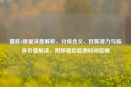 囊胚4质量深度解析，分级含义、妊娠潜力与临床价值解读，附移植后检测时间指南