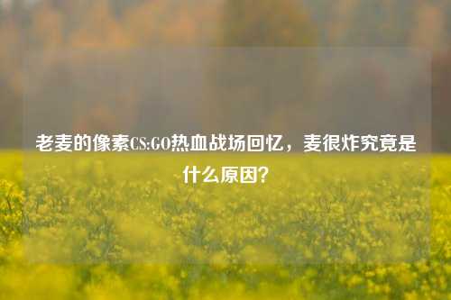 老麦的像素CS:GO热血战场回忆，麦很炸究竟是什么原因？