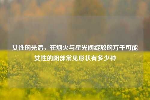 女性的光谱，在烟火与星光间绽放的万千可能女性的阴部常见形状有多少种