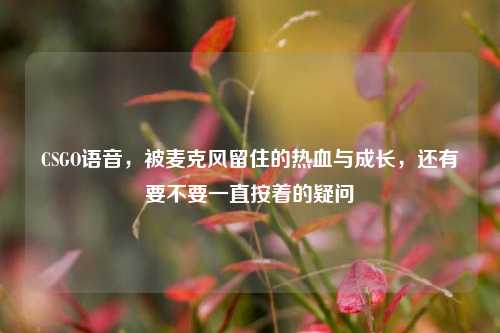 CSGO语音，被麦克风留住的热血与成长，还有要不要一直按着的疑问