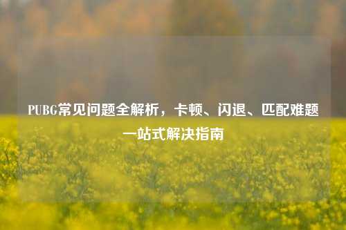 PUBG常见问题全解析，卡顿、闪退、匹配难题一站式解决指南