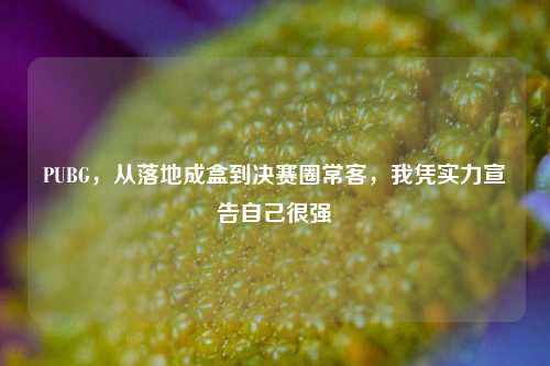 PUBG，从落地成盒到决赛圈常客，我凭实力宣告自己很强