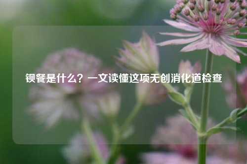 钡餐是什么？一文读懂这项无创消化道检查