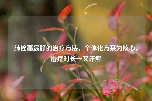 肺栓塞最好的治疗方法，个体化方案为核心，治疗时长一文详解