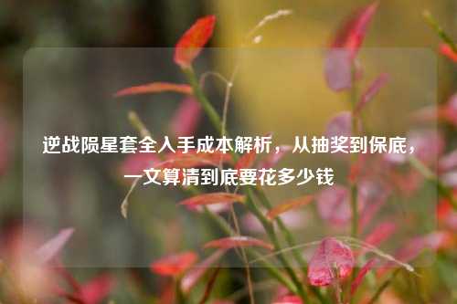 逆战陨星套全入手成本解析，从抽奖到保底，一文算清到底要花多少钱