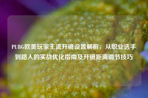 PUBG欧美玩家主流开镜设置解析，从职业选手到路人的实战优化指南及开镜距离调节技巧