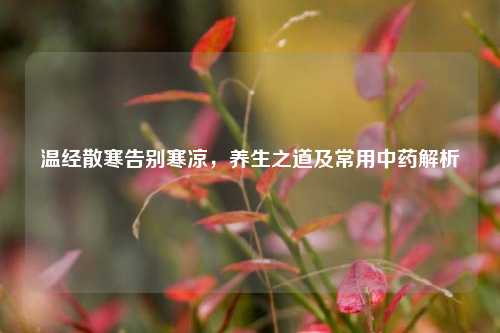 温经散寒告别寒凉，养生之道及常用中药解析