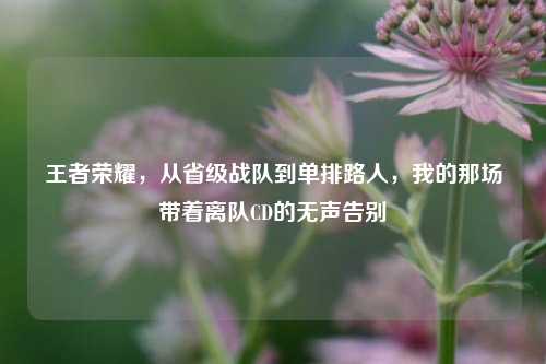 王者荣耀，从省级战队到单排路人，我的那场带着离队CD的无声告别