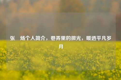 张炘炀个人简介，巷弄里的微光，暖透平凡岁月