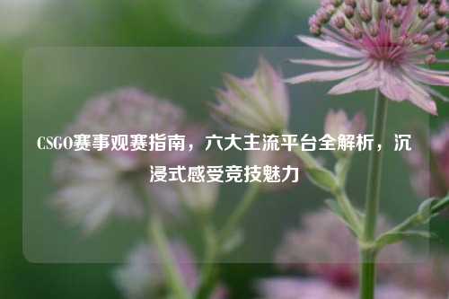 CSGO赛事观赛指南，六大主流平台全解析，沉浸式感受竞技魅力