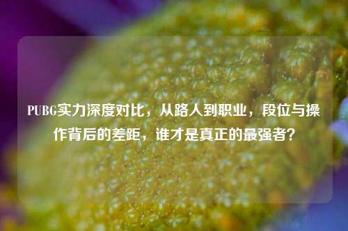 PUBG实力深度对比，从路人到职业，段位与操作背后的差距，谁才是真正的最强者？