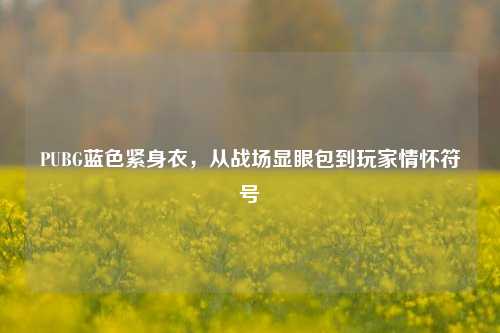 PUBG蓝色紧身衣，从战场显眼包到玩家情怀符号