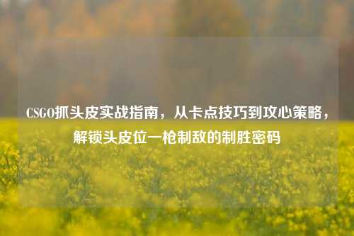 CSGO抓头皮实战指南，从卡点技巧到攻心策略，解锁头皮位一枪制敌的制胜密码