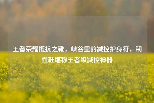 王者荣耀抵抗之靴，峡谷里的减控护身符，韧性鞋堪称王者级减控神器