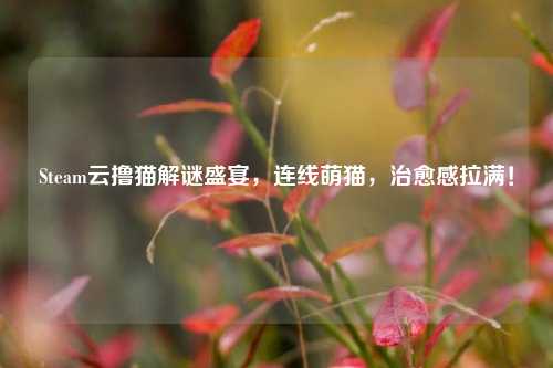 Steam云撸猫解谜盛宴，连线萌猫，治愈感拉满！