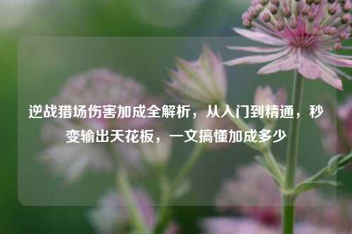 逆战猎场伤害加成全解析，从入门到精通，秒变输出天花板，一文搞懂加成多少