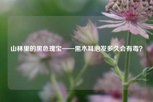 山林里的黑色瑰宝——黑木耳泡发多久会有毒？