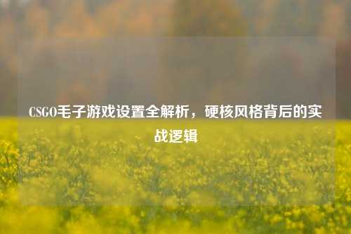 CSGO毛子游戏设置全解析，硬核风格背后的实战逻辑