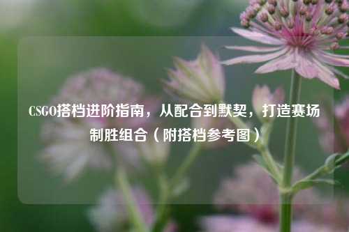 CSGO搭档进阶指南，从配合到默契，打造赛场制胜组合（附搭档参考图）