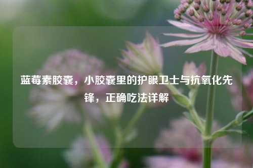 蓝莓素胶囊，小胶囊里的护眼卫士与抗氧化先锋，正确吃法详解