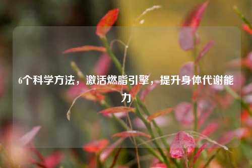 6个科学方法，激活燃脂引擎，提升身体代谢能力