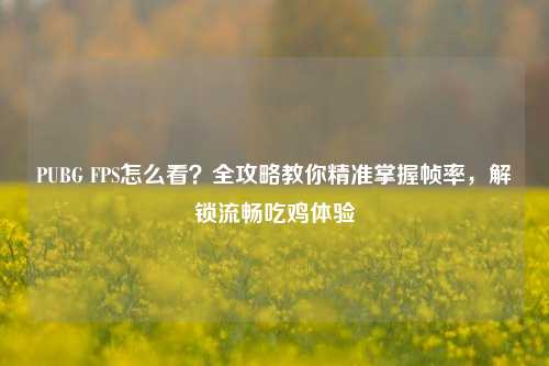 PUBG FPS怎么看？全攻略教你精准掌握帧率，解锁流畅吃鸡体验