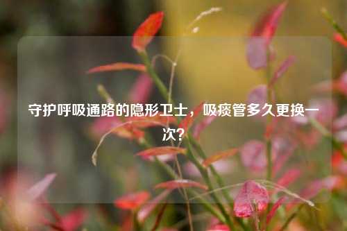 守护呼吸通路的隐形卫士，吸痰管多久更换一次？