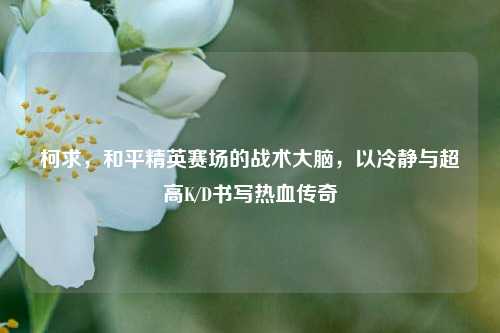 柯求，和平精英赛场的战术大脑，以冷静与超高K/D书写热血传奇