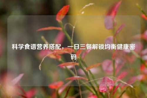 科学食谱营养搭配，一日三餐解锁均衡健康密码